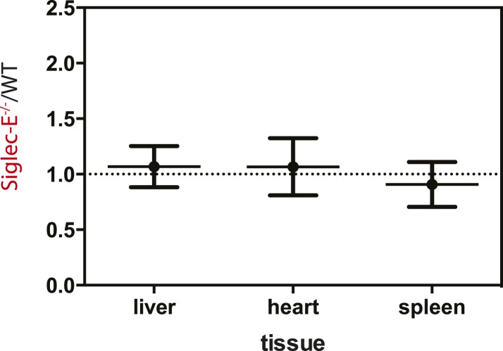 Figure 4—figure supplement 2.