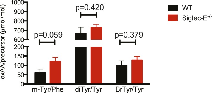 Figure 4—figure supplement 3.