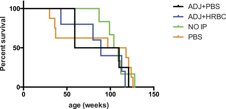 Figure 2—figure supplement 2.