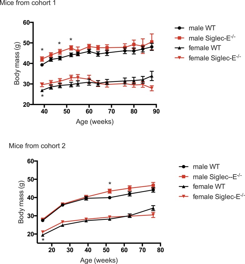 Figure 2—figure supplement 3.