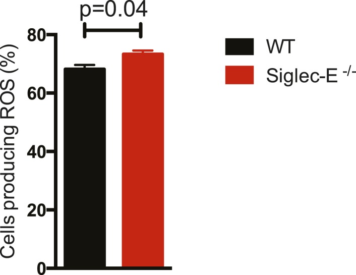 Figure 3—figure supplement 2.