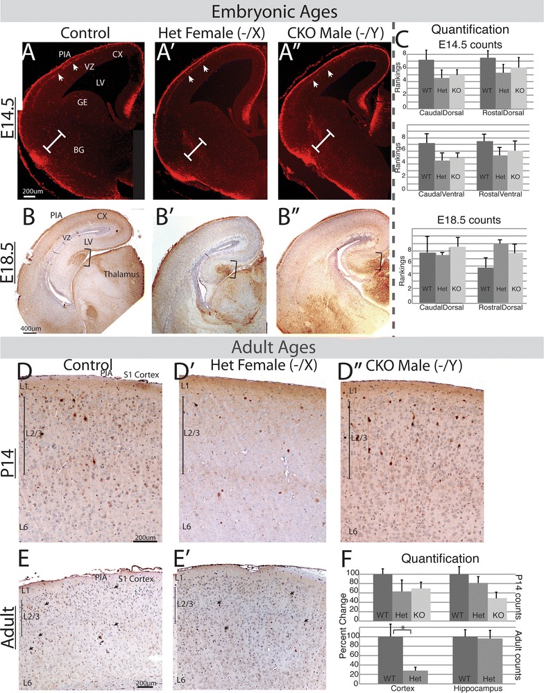 Fig. 5