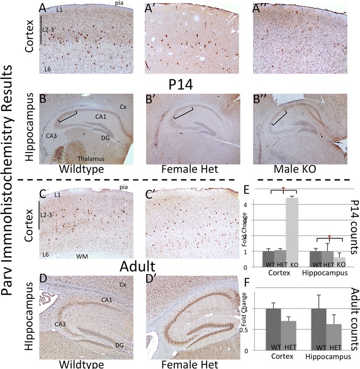 Fig. 7