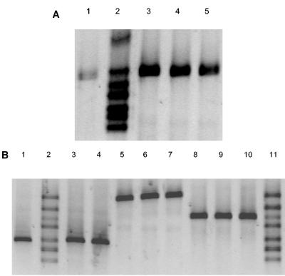 FIG. 5.