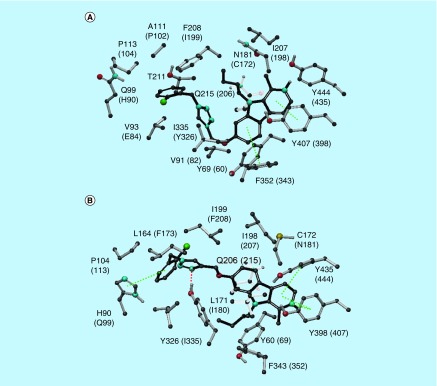 Figure 5. 