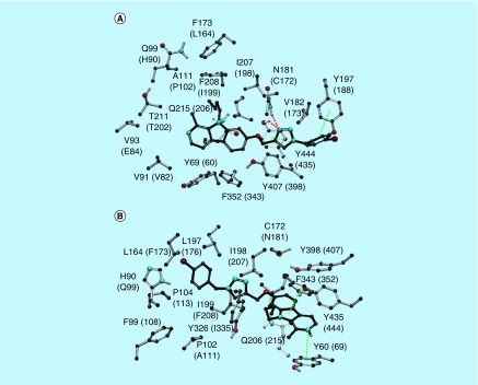 Figure 4. 