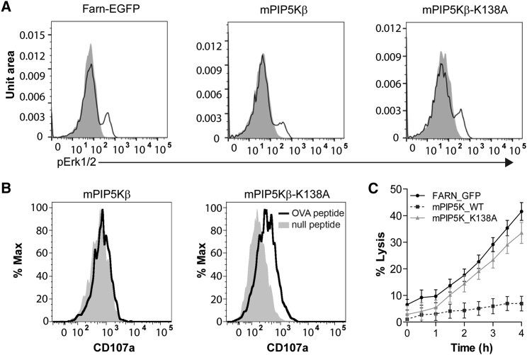 Figure 5