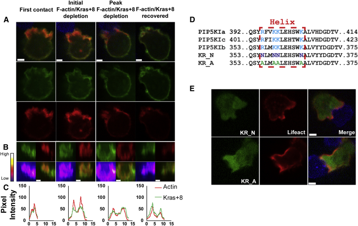 Figure 6