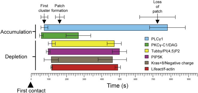 Figure 7