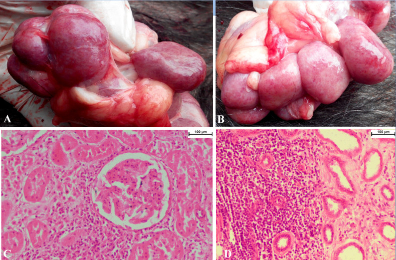 Fig. 3.