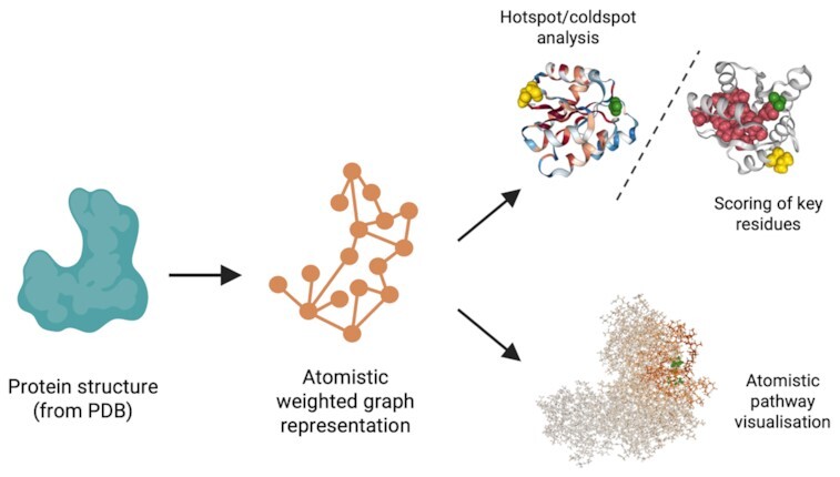 Graphical abstract