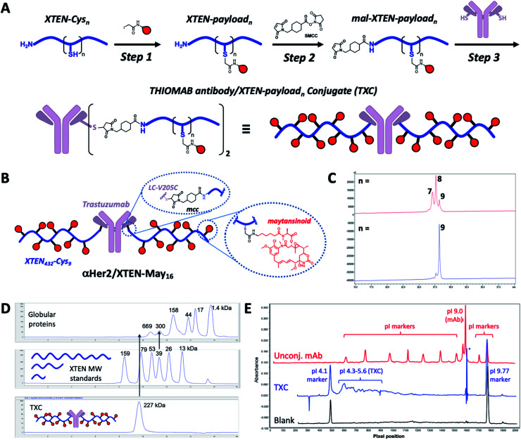 A homogeneous high-DAR antibody–drug conjugate platform combining ...