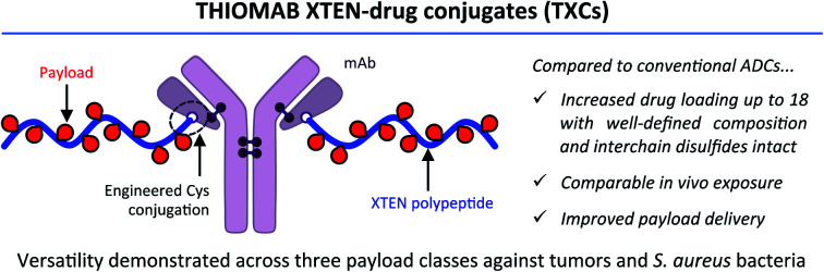 A homogeneous high-DAR antibody–drug conjugate platform combining ...