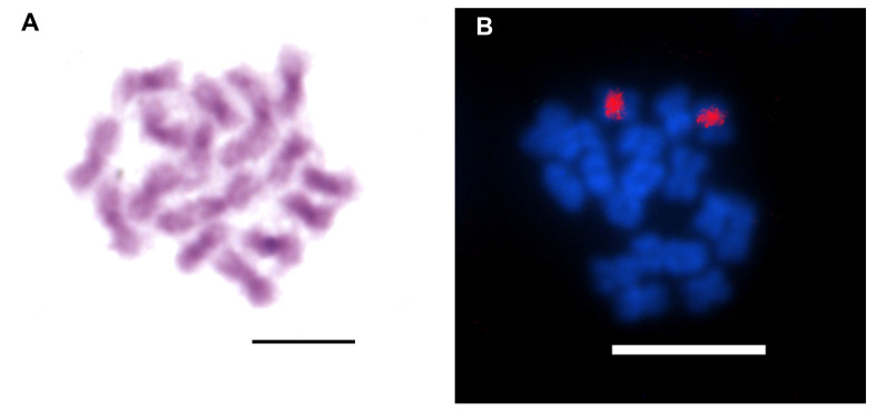 Fig. 13.