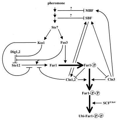 FIG. 8