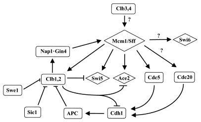 FIG. 4