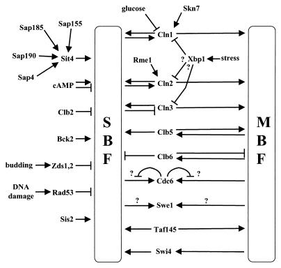 FIG. 6