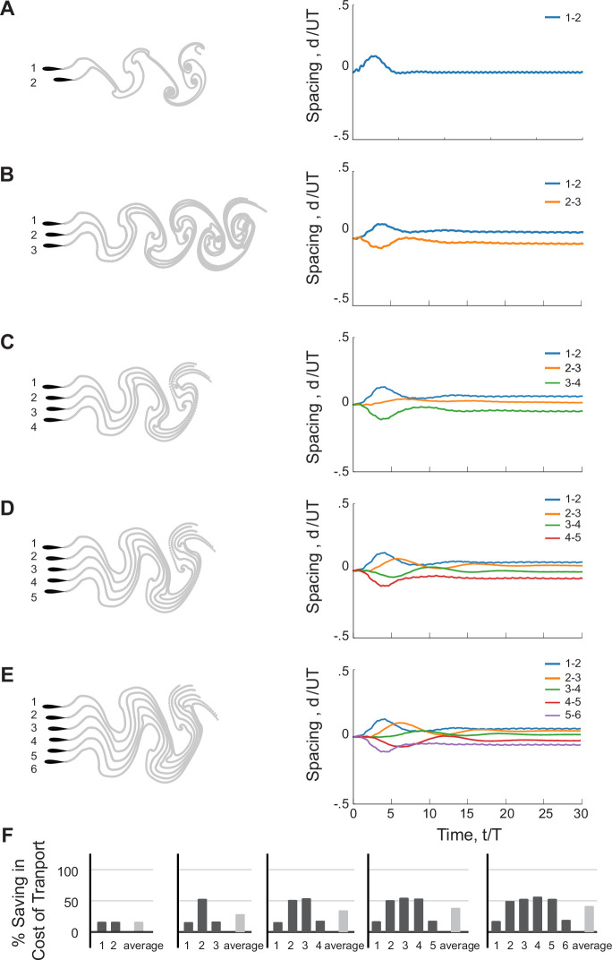 Figure 7—figure supplement 2.