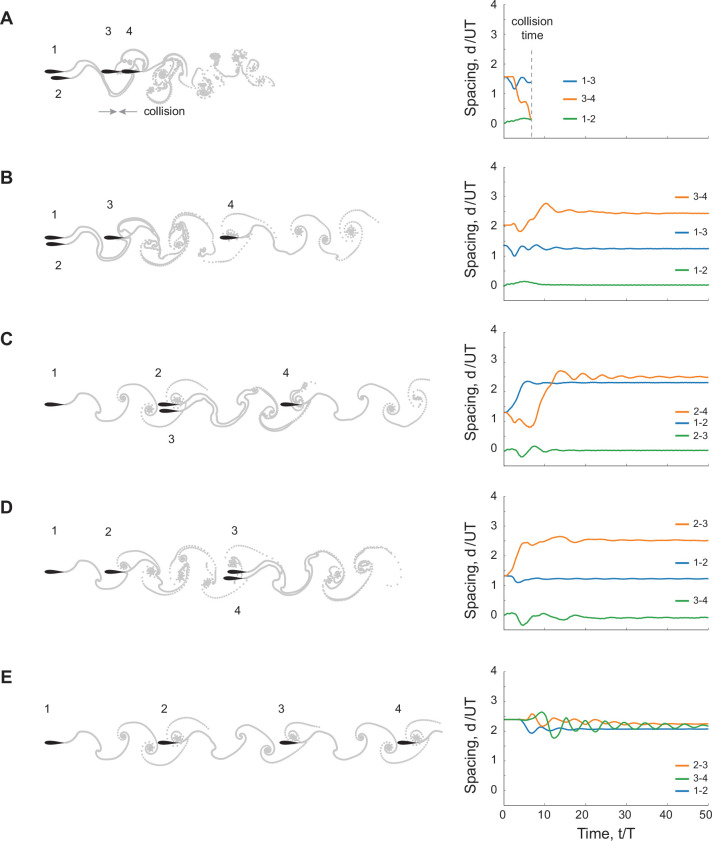 Figure 10—figure supplement 1.