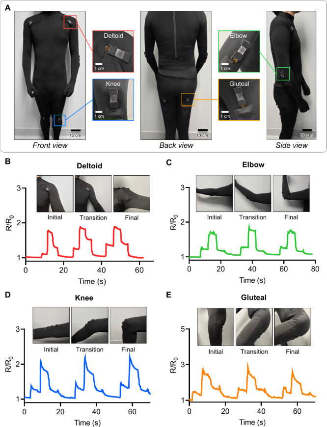 Figure 4