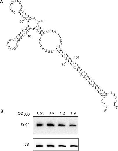 Figure 2.