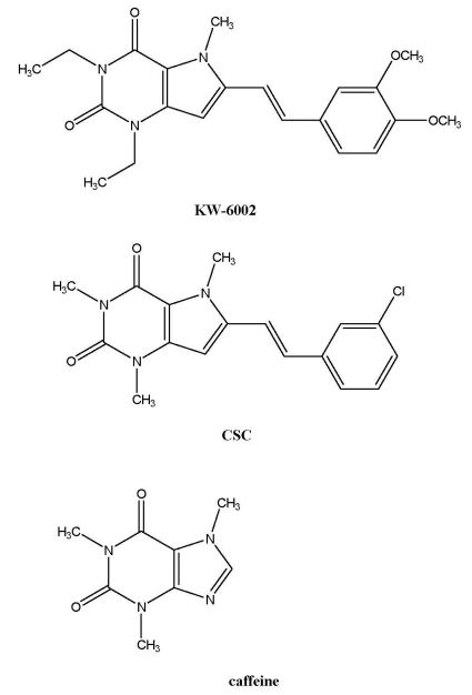 Fig. 8