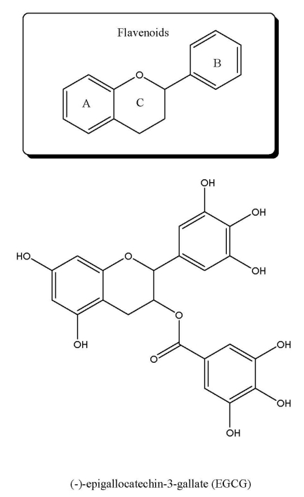 Fig. 11