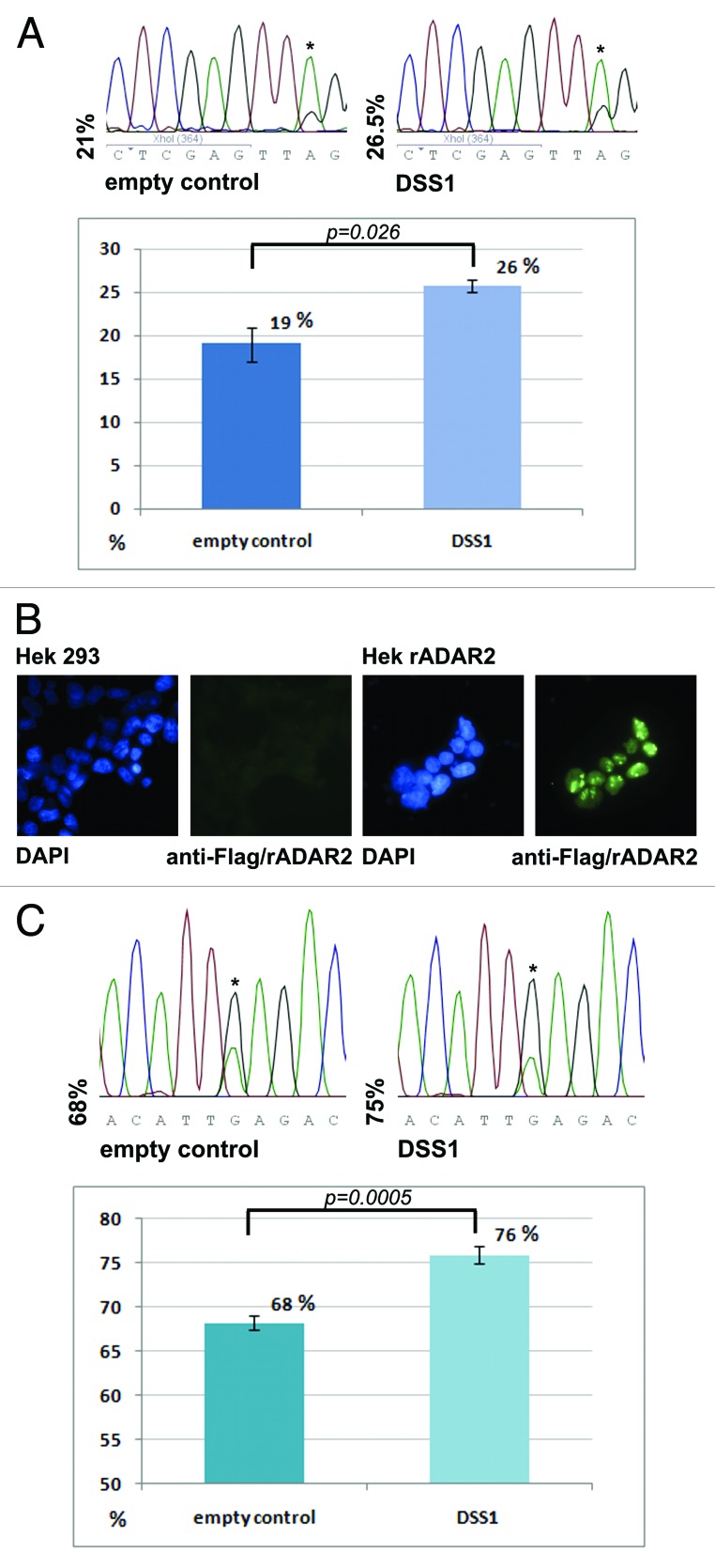 graphic file with name rna-10-192-g4.jpg