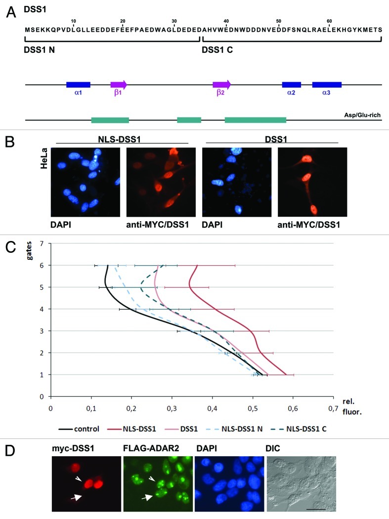 graphic file with name rna-10-192-g6.jpg