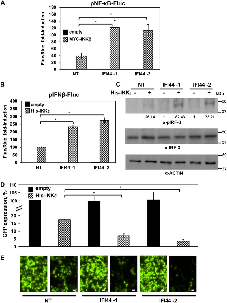 FIG 6