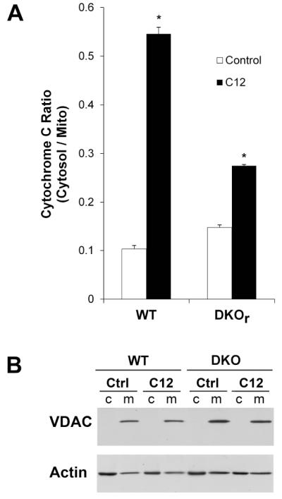 Fig. 11