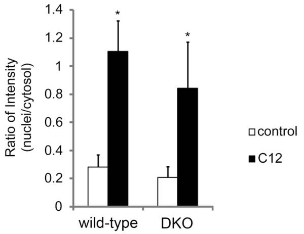 Fig. 10