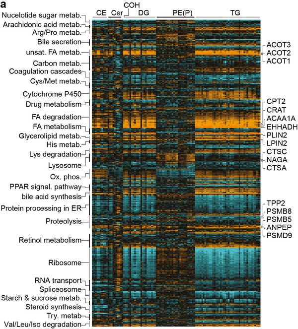 Extended Data Fig. 5 |