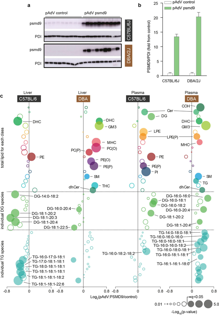 Extended Data Fig. 6 |