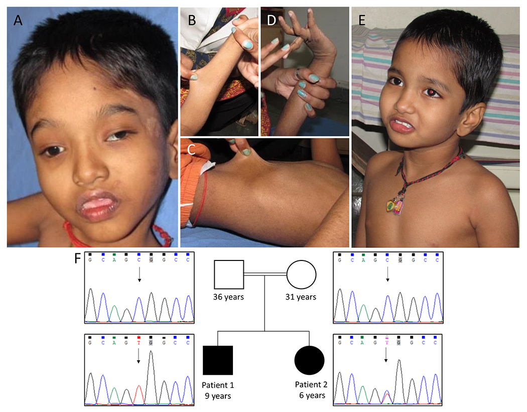 Figure 1: