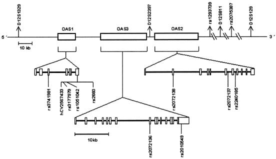 Figure  1