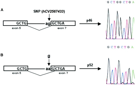 Figure  3