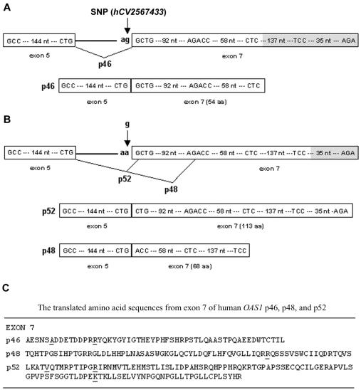 Figure  4