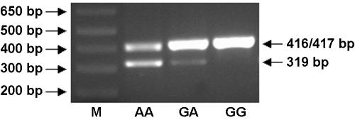 Figure  2