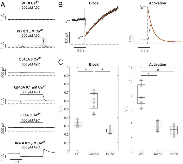 Fig. 3.