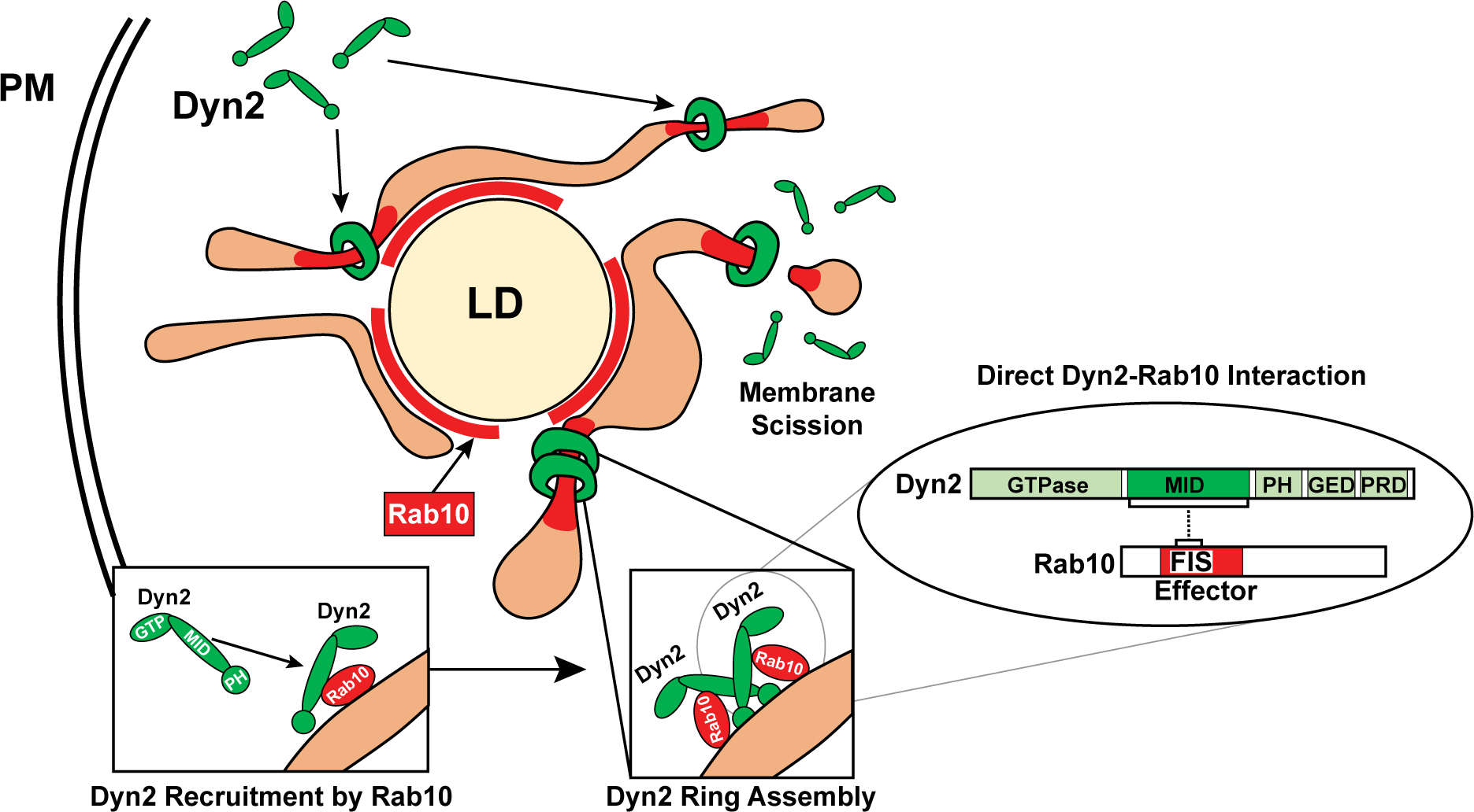 FIG. 7.