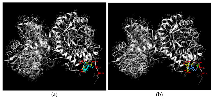 Figure 12