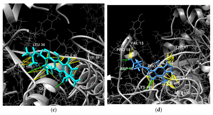 Figure 12