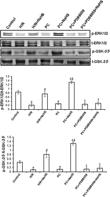 Fig. 6