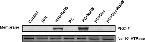 Fig. 8