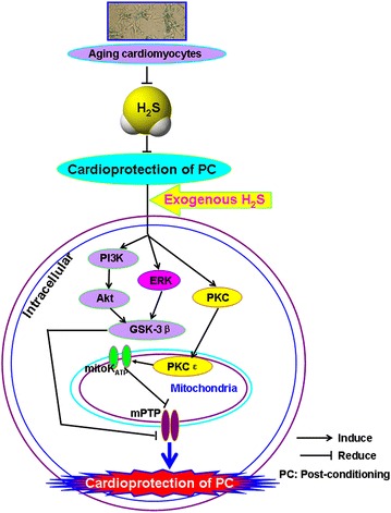 Fig. 10