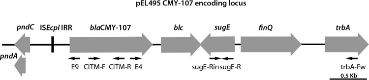 FIG 1