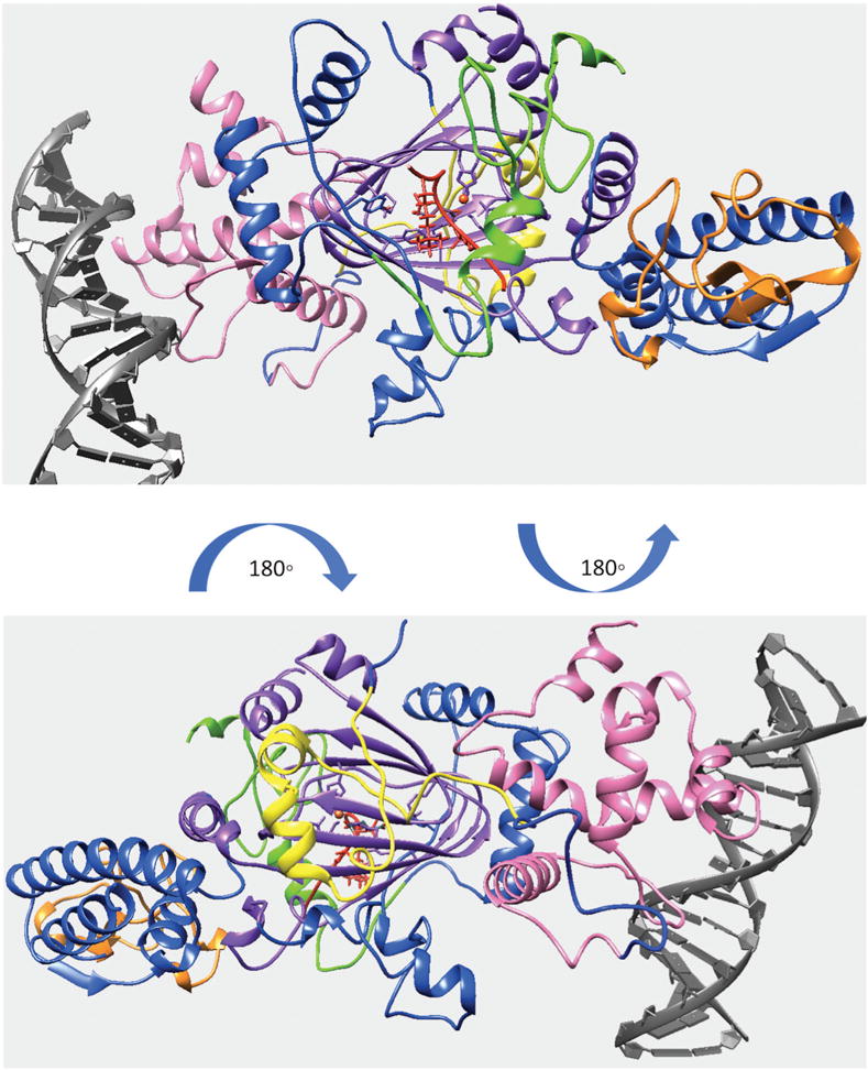 Figure 4