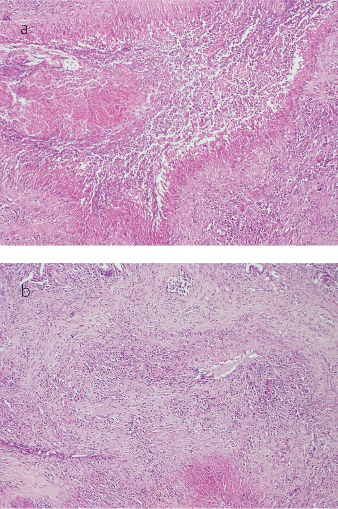 Figure 2. a, b