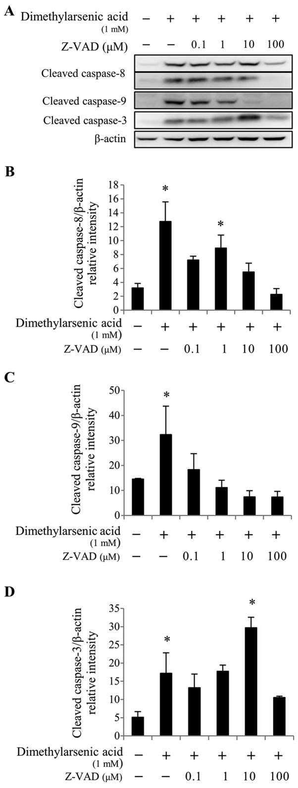 Figure 7.